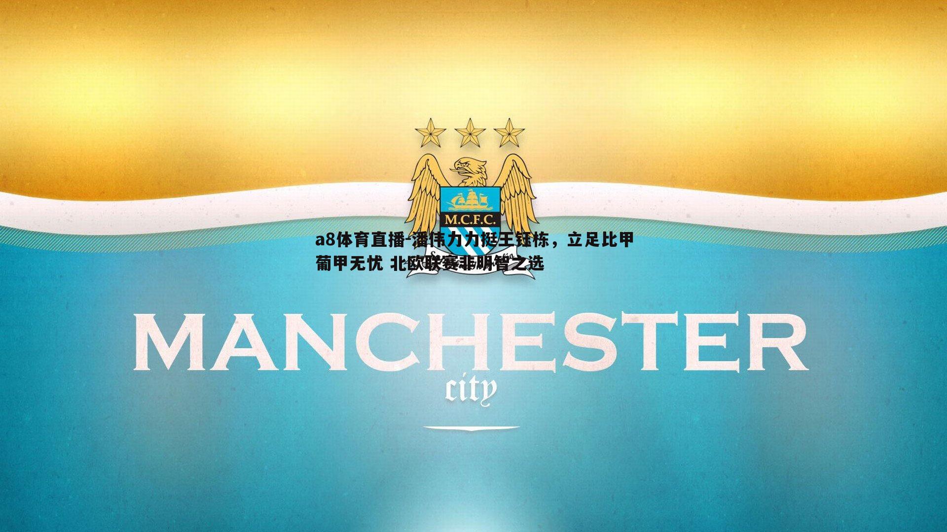 潘伟力力挺王钰栋，立足比甲葡甲无忧 北欧联赛非明智之选